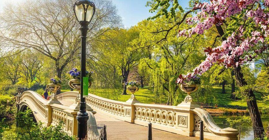 NYC: Sightseeing Day Trip with Statue of Liberty Visit - Should you book this Statue of Liberty day trip?