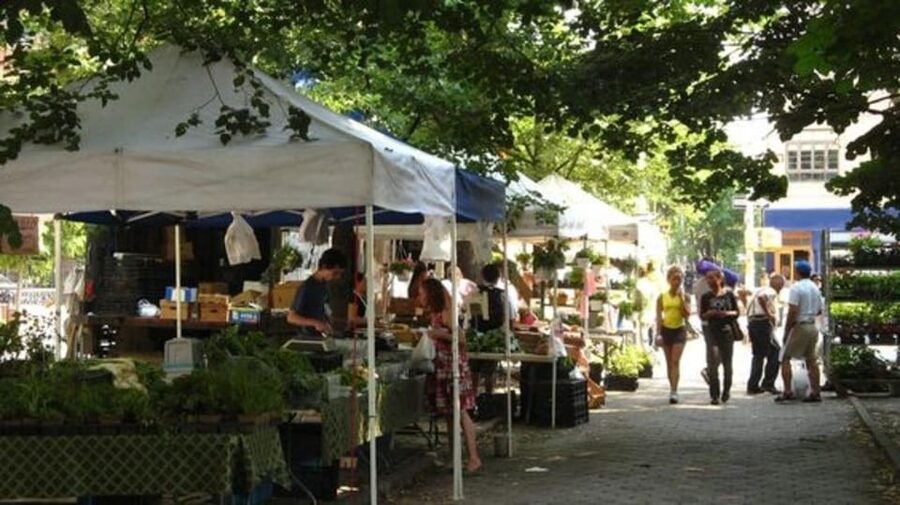 NYC: Soho, Little Italy and Chinatown Private Walking Tour - Who this private NYC neighborhood walk is best for
