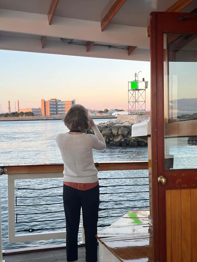 NYC: Urban Wildlife Sunset Tour of the East River - Skyline views you can actually time, sunset to lit-up night