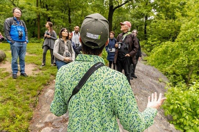 Official Central Park Walking Tour - Walking Under the American Elms and Reading the Mall