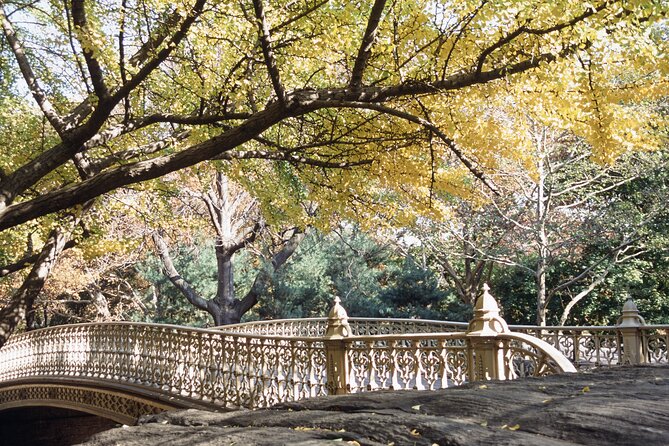 Official Central Park Walking Tour - Bethesda Terrace Finale: Fountain Views and the Lake Boathouse Frame