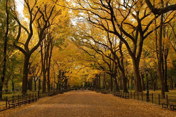 Official Central Park Walking Tour - How Guides Help You Appreciate the Park’s Design Choices