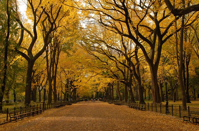 Official Central Park Walking Tour - Pace, Time on Each Stop, and What That Means for Your Legs