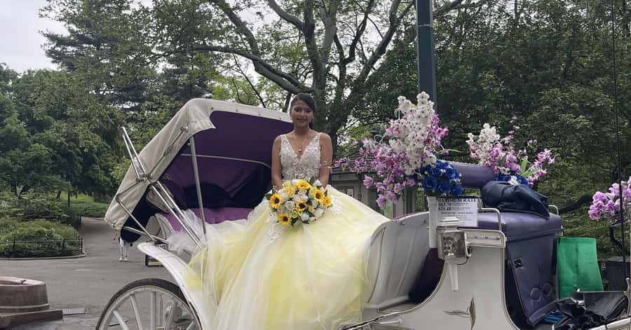 Official Exclusive VIP Horse Carriage Ride in Central Park - Key highlights worth planning for