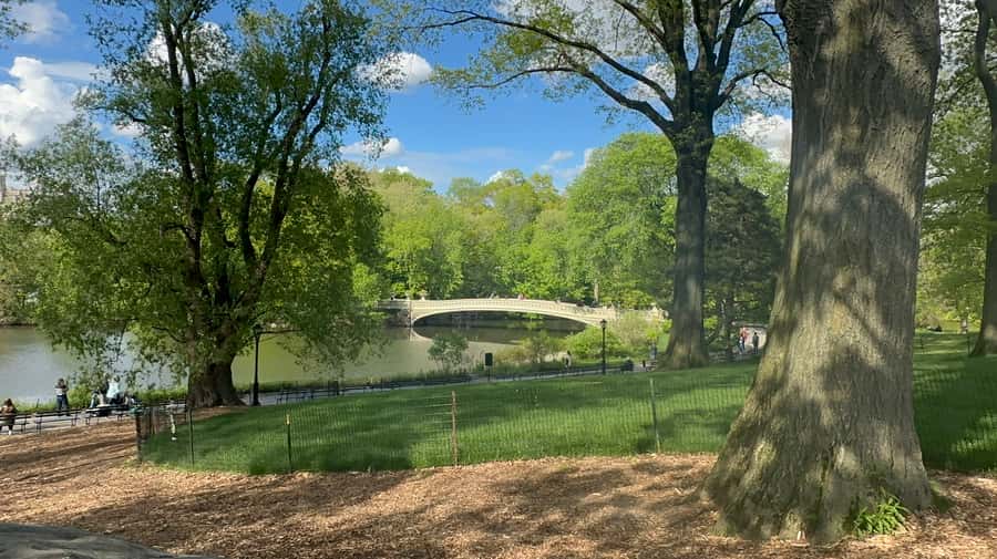 Official Exclusive VIP Horse Carriage Ride in Central Park - Finding the right starting point by 59th Street