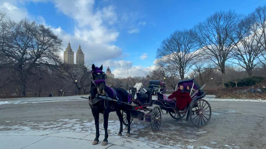 Official Exclusive VIP Horse Carriage Ride in Central Park - The 45-minute loop: what you’ll actually see