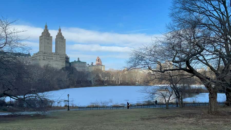 Official Exclusive VIP Horse Carriage Ride in Central Park - Photo-stop strategy: how to get the shots without slowing everything down