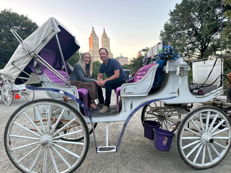 Official Exclusive VIP Horse Carriage Ride in Central Park - Price and value: $195 per group, and why it can be smart