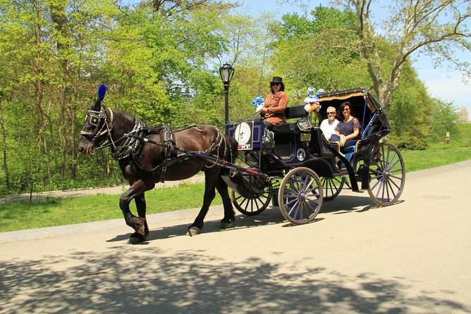 Official NYC Horse Carriage Rides in Central Park since 1979 ™ - Key Things I’d Plan for on This Central Park Carriage Ride