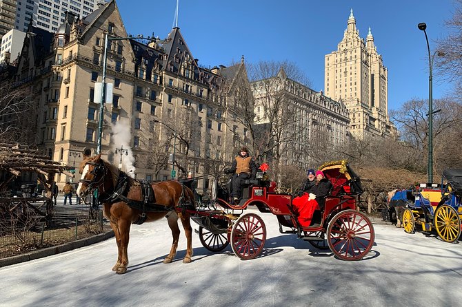 Official NYC Horse Carriage Rides in Central Park since 1979 ™ - Getting Great Photos Without Turning the Ride Into a Stress Test