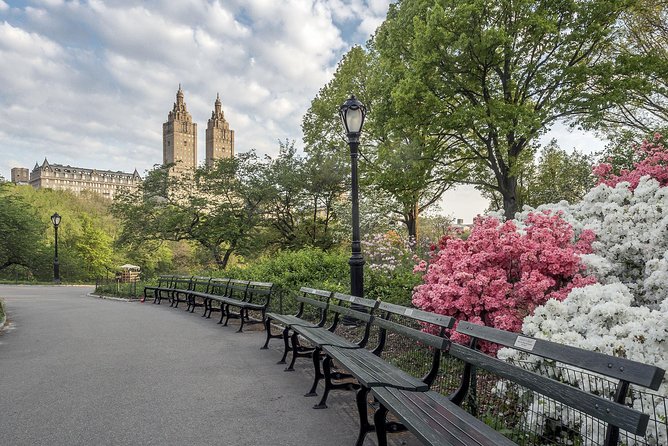 Official NYC Horse Carriage Rides in Central Park since 1979 ™ - Price Check: What $99 Per Group Buys You