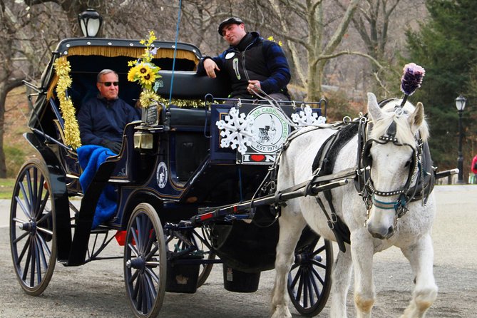 Official NYC Horse Carriage Rides in Central Park since 1979 ™ - Should You Book This Central Park Carriage Ride?
