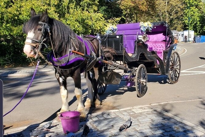 Official Private New York City Central Park Horse Carriage Ride Since 1965™ - Key highlights to know before you go