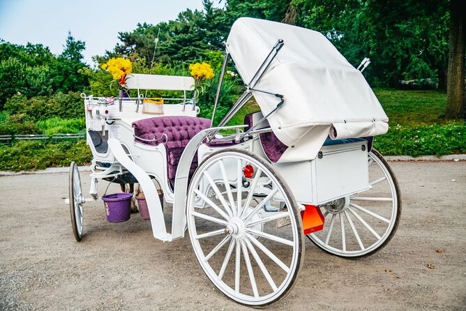 Official Private New York City Central Park Horse Carriage Ride Since 1965™ - The famous carousel area and why it sets the tone fast