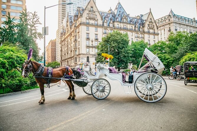 Official Private New York City Central Park Horse Carriage Ride Since 1965™ - From Wollman Rink to the checker tables: sights that feel like pop culture
