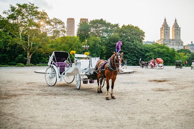 Official Private New York City Central Park Horse Carriage Ride Since 1965™ - Balto and Rumsey Playfield: the charming, less obvious stops