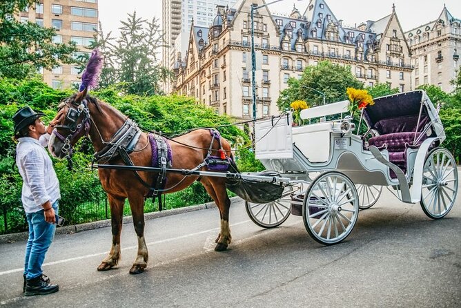 Official Private New York City Central Park Horse Carriage Ride Since 1965™ - Where you meet and what the ride feels like in real life