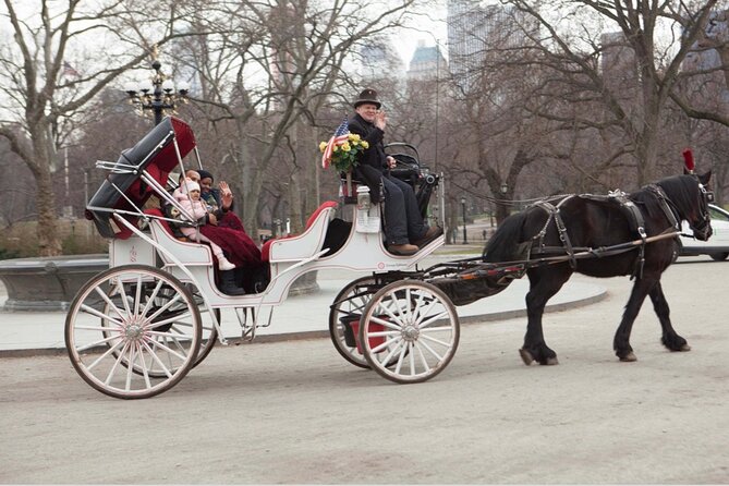 Official Private NYC Central Park Horse Carriage Ride Since 1970™ - Standard Ride Worth the Time: Balto, Bethesda Terrace, and Cherry Hill