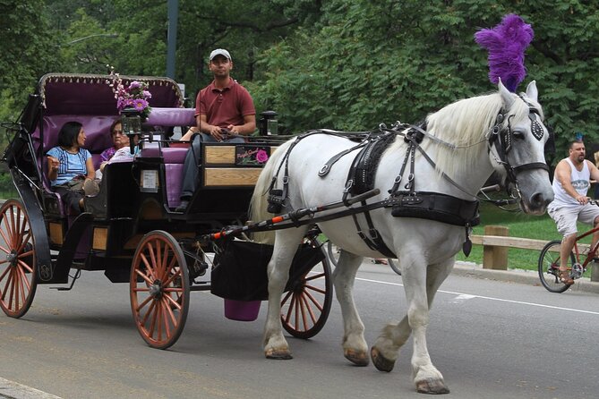 Official Private NYC Central Park Horse Carriage Ride Since 1970™ - Photo Stops for Movie Moments: Bridges, Lennon, and Tavern on the Green