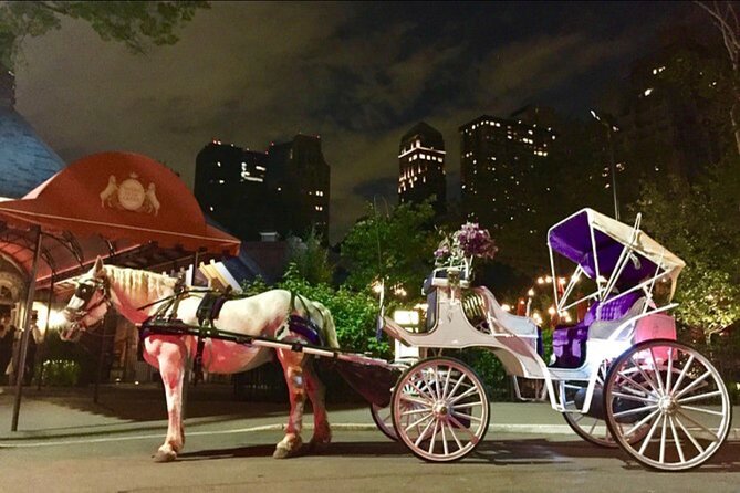 Official Private NYC Central Park Horse Carriage Ride Since 1970™ - Comfort in Wind, Cold, and Winter Crowds: Blankets and Smart Dressing