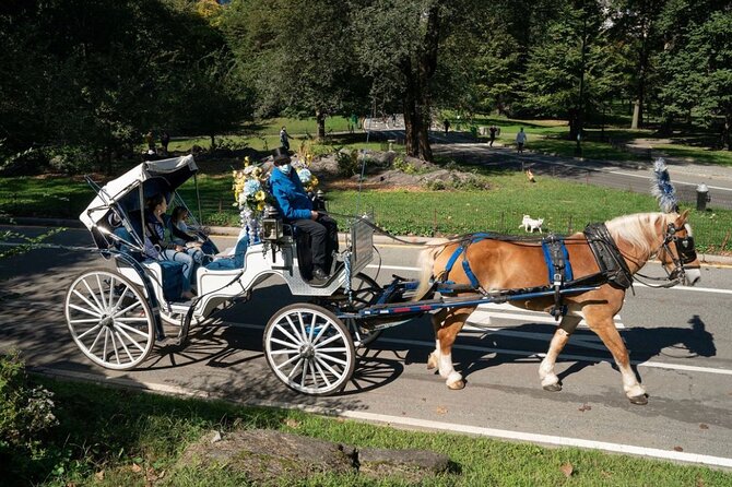 Official Private NYC Central Park Horse Carriage Ride Since 1970™ - Guides, Horse Names, and the Little Things That Make It Fun