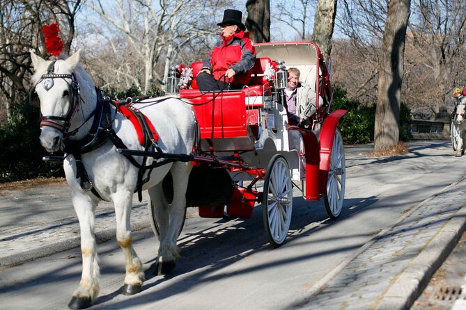 Official Private NYC Central Park Horse Carriage Ride Since 1970™ - Price Value: What $7.99 Per Group Really Buys You
