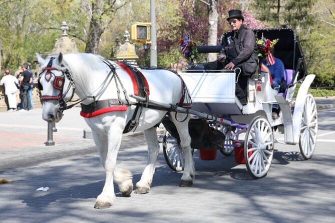 Official Private NYC Central Park Horse Carriage Ride Since 1970™ - Short Ride vs Standard Ride, How to Choose the Right Route