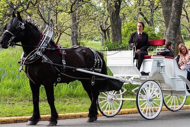 Official Private NYC CentralPark Horse Carriage Ride Since 1972 - Private NYC Central Park carriage rides, not a crowded cattle call