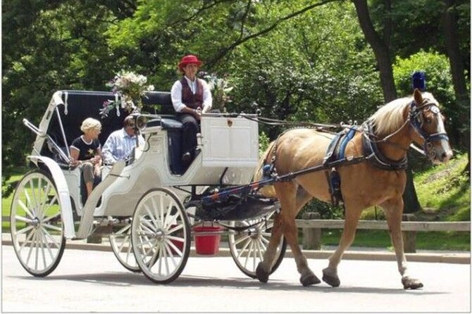 Official Private NYC CentralPark Horse Carriage Ride Since 1972 - Why the guide quality matters on a horse carriage ride