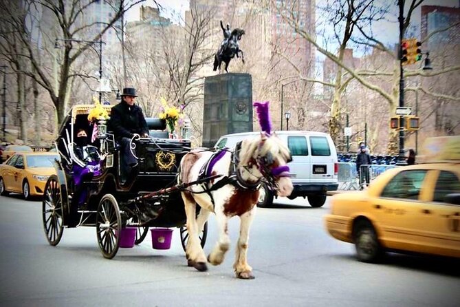 Official Private NYC CentralPark Horse Carriage Ride Since 1972 - Blankets, family fit, and the real math of the price