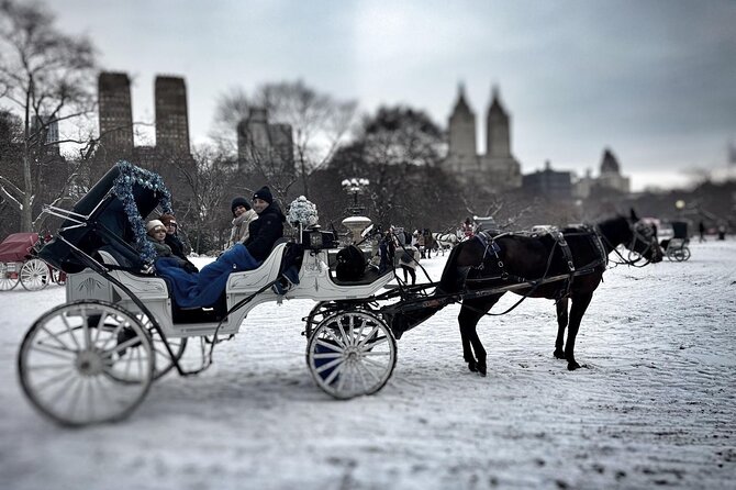 Official Private NYC CentralPark Horse Carriage Ride Since 1972 - Who should book this ride, and who should skip it