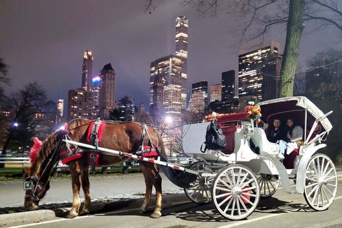 Official Private NYC CentralPark Horse Carriage Ride Since 1972 - Should you book this Central Park horse carriage ride?