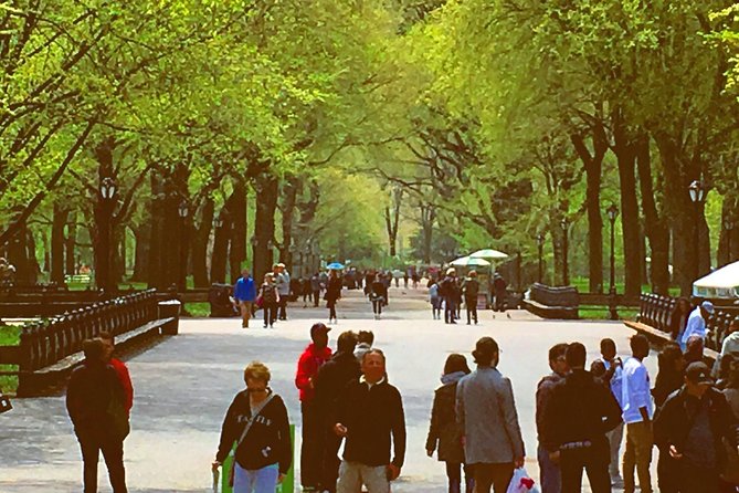 Pedicab Guided Tour of Central Park - Bow Bridge and quick walks: how the route stays flexible