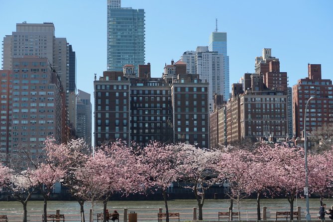 Personalized Experience with your Local Tour Guide - Starting point options in Manhattan: hotel, nearby meeting, or your pick