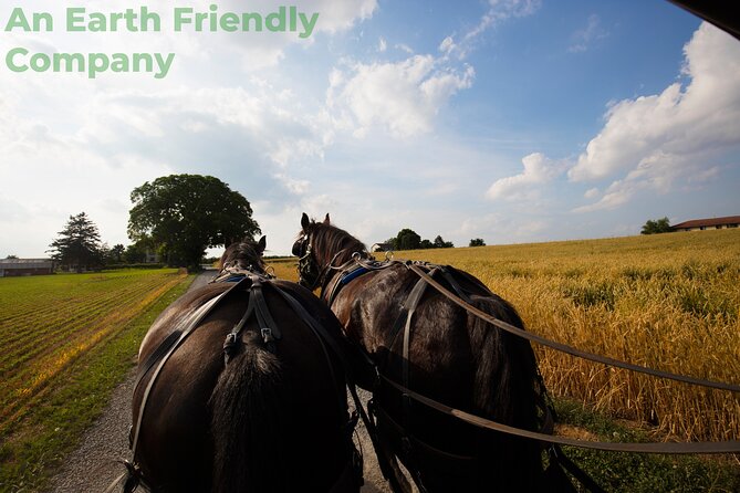 Philadelphia and Amish Country, 1-Day Tour from NYC - Liberty Bell Center and Congress Hall Stops: Quick, Big, and Slightly Overlapping