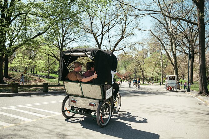 Private Central Park Guided Pedicab Tour - Bow Bridge and Cherry Hill Plaza for easy photos and a scenic pause