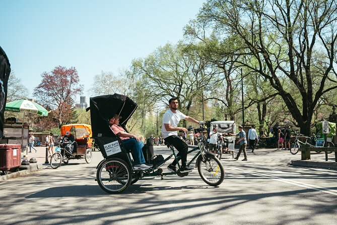 Private Central Park Guided Pedicab Tour - Conservatory Garden: a calmer pocket when you want a breather