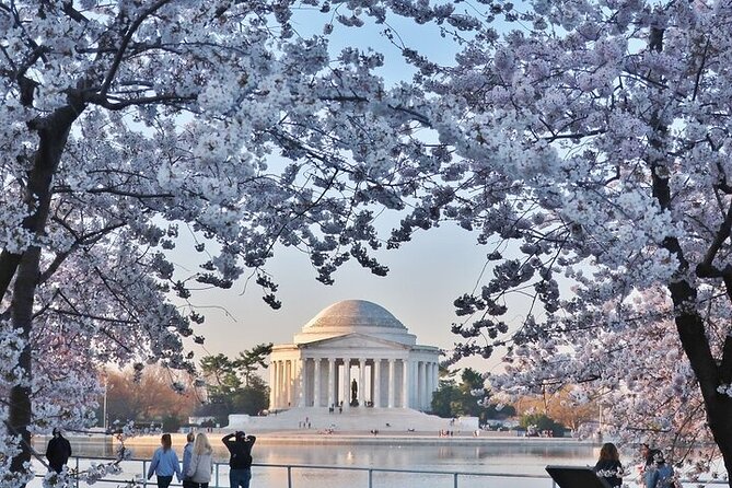 Private Full Day Washington DC Tour from New York City - Door-to-door NYC pickup and a long, comfortable drive