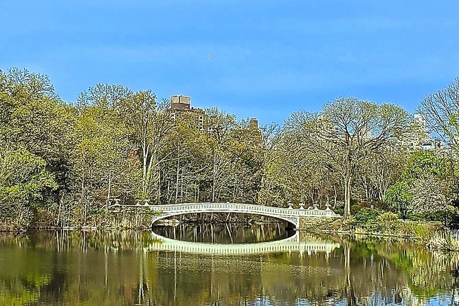 Private Guided Tour of Central Park - Columbus Circle Start: The Manhattan Grid and Pre-Park Backstory