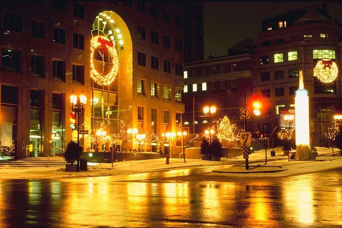 Private New York Christmas Tour with Driver and Guide - Christmas in NYC, sorted by what you actually want to see