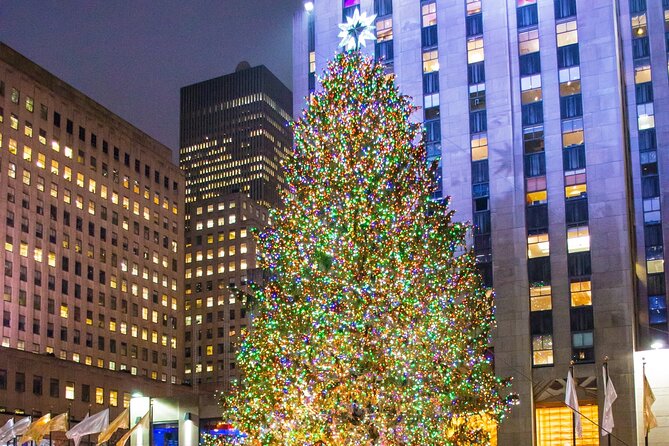 Private New York Christmas Tour with Driver and Guide - Logistics that matter: comfort, food, and how to dress