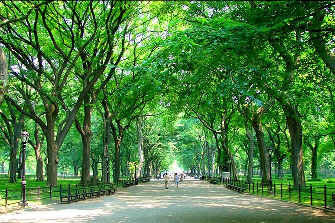 Private New York City Walking Tour: Central Park History and Hidden Secrets - Why a private Central Park history walk fits first-timers