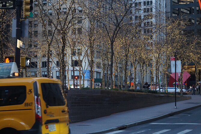 Private New York Downtown Highlights Half Day Tour - Starting Point at Washington Square Park, Then Into Greenwich Village