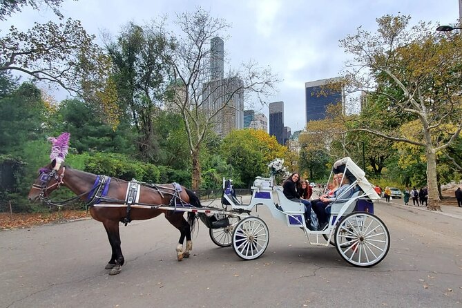 Private NYC Central Park Horse Carriage Ride (Guided) Since 1965™ - Key highlights worth putting on your must-do list