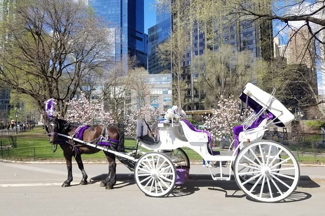Private NYC Central Park Horse Carriage Ride (Guided) Since 1965™ - Why this carriage ride is a smart Central Park shortcut