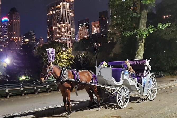 Private NYC Central Park Horse Carriage Ride (Guided) Since 1965™ - Driver tips that make the difference in your experience