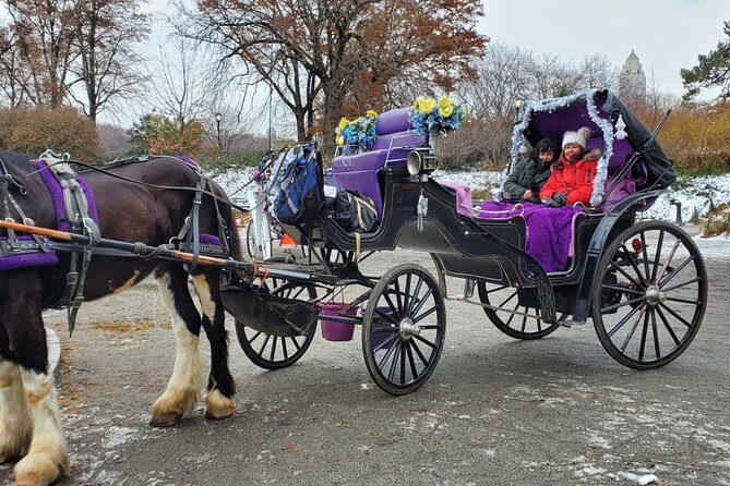 Private NYC Central Park Horse Carriage Ride (Guided) Since 1965™ - Price, value, and who gets the best deal