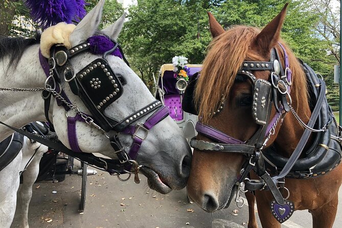 Private NYC Central Park Horse Carriage Ride (Guided) Since 1965™ - When to book, and how to plan around weather