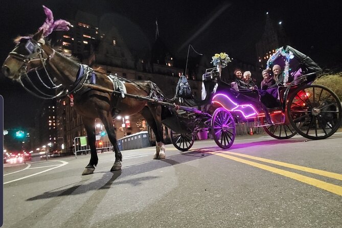 Private NYC Central Park Horse Carriage Ride (Guided) Since 1965™ - Who should book this Central Park horse ride