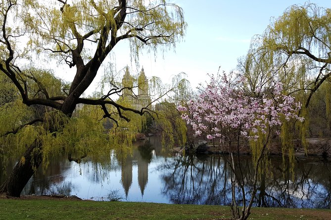 Private Scenic Central Park Walking Tour - A private Central Park walk that actually feels like a plan